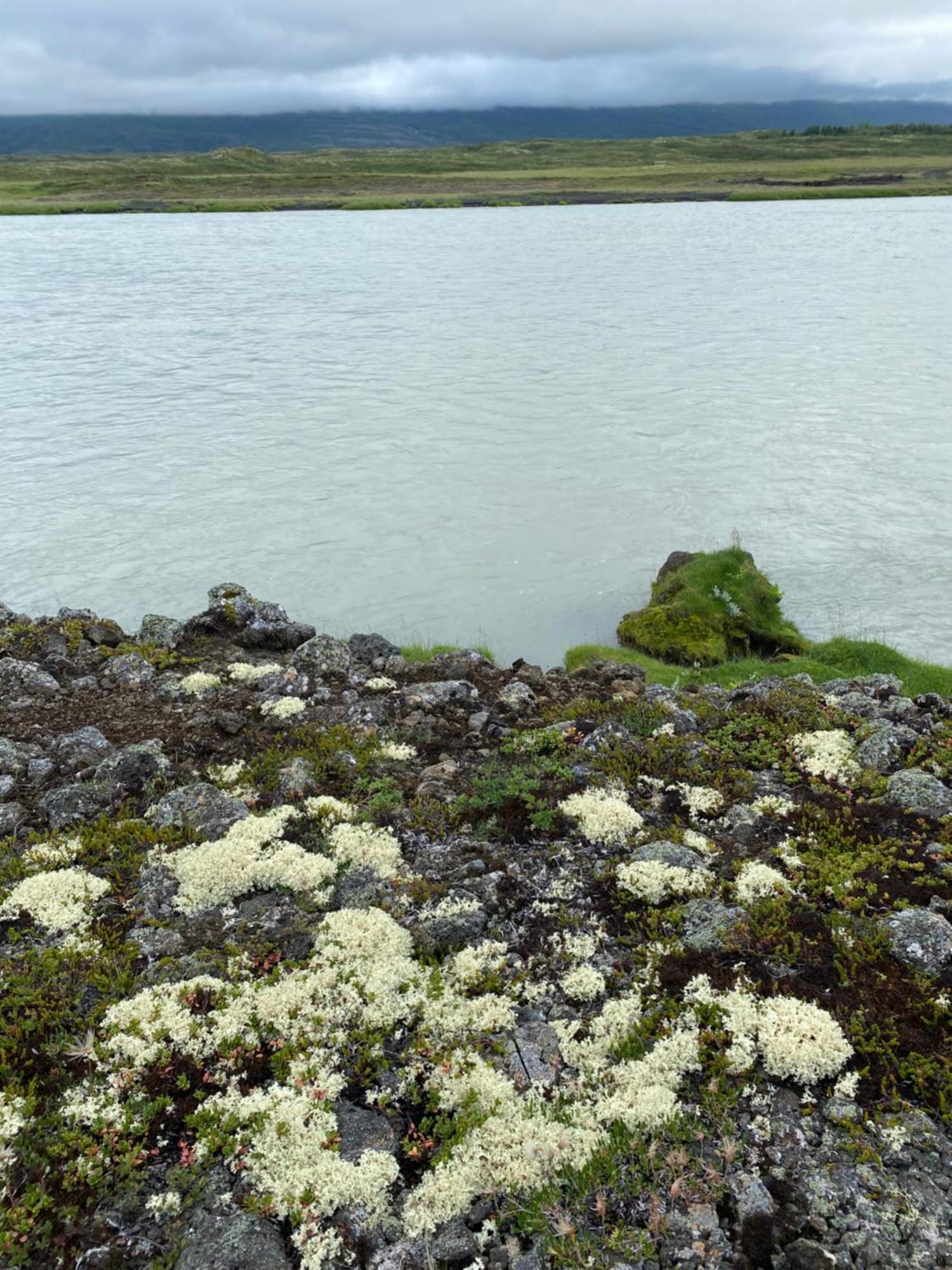 Fljotsbakki Hotel Godafoss Extérieur photo